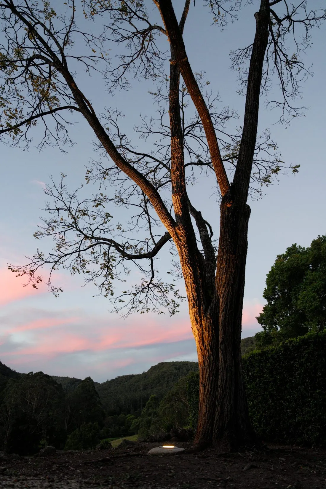 Outdoor Lighting — Erina